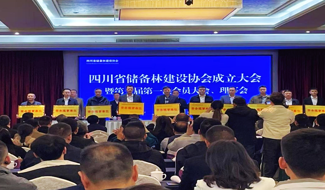 巴中兩山生態(tài)資源資產經營有限公司榮獲四川省儲備林建設協會常務理事單位稱號