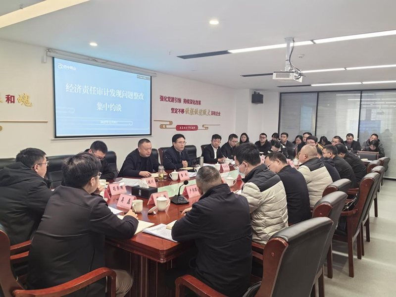 巴中兩山公司召開經(jīng)濟責任審計發(fā)現(xiàn)問題整改集中約談會